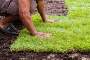 trawnik z rolki, zakładanie trawnika, trawnik w rolce, ile kosztuje trawnik z rolki, zakładanie trawnika z rolki, podłoże pod trawnik z rolki, podlewanie trawnika z rolki