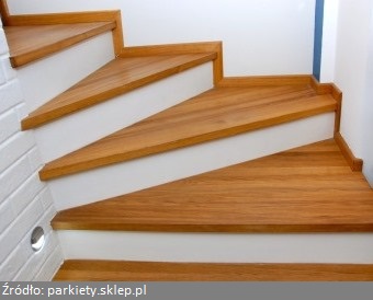 Popularne są schody dębowe oraz schody bukowe, jednakże ciekawe mogą być również schody jesionowe. Różny jest także koszt wykończenia schodów betonowych, gdyż zależy to od tego ile kosztują stopnice drewniane oraz czy droga jest późniejsza konserwacja schodów. Przeważnie stawiamy pytanie schody dębowe czy jesionowe. Rzadkie są natomiast schody z drewna egzotycznego.
